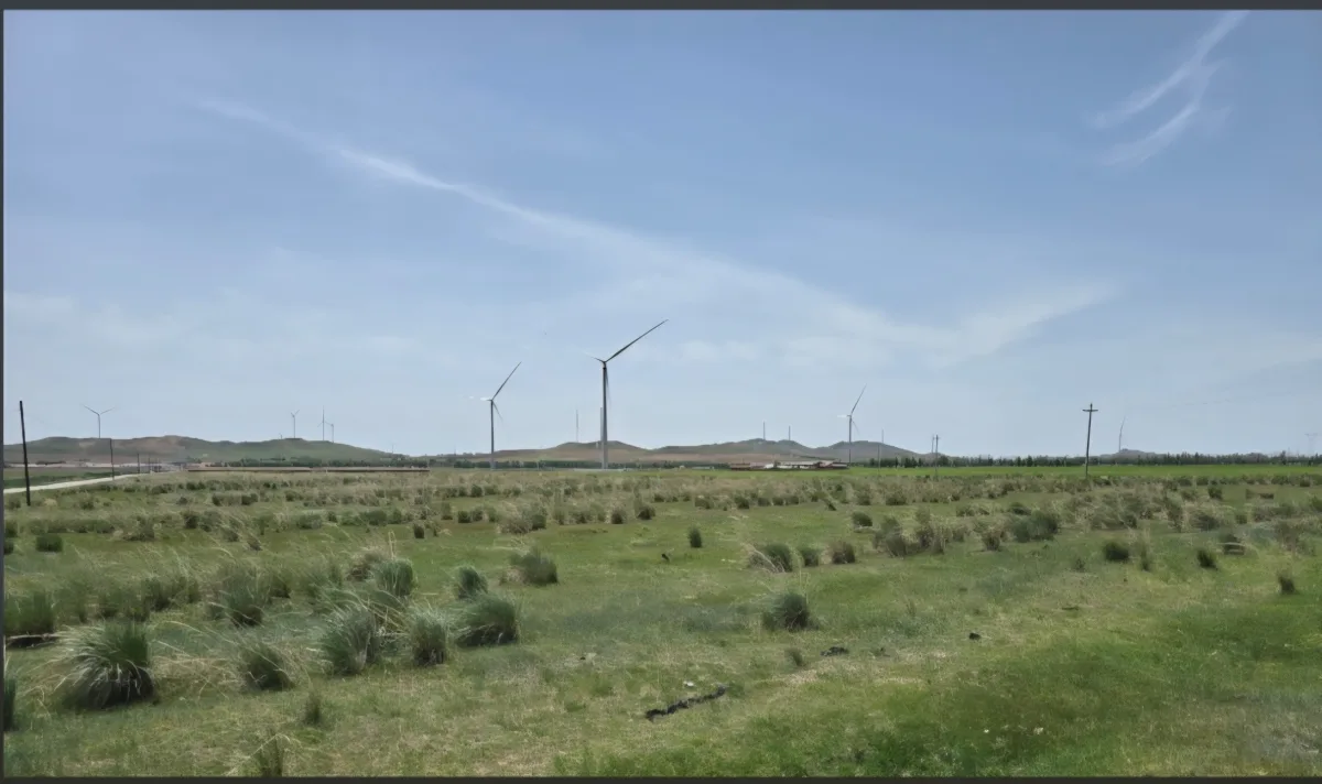 Open estate land with distant wind turbines.